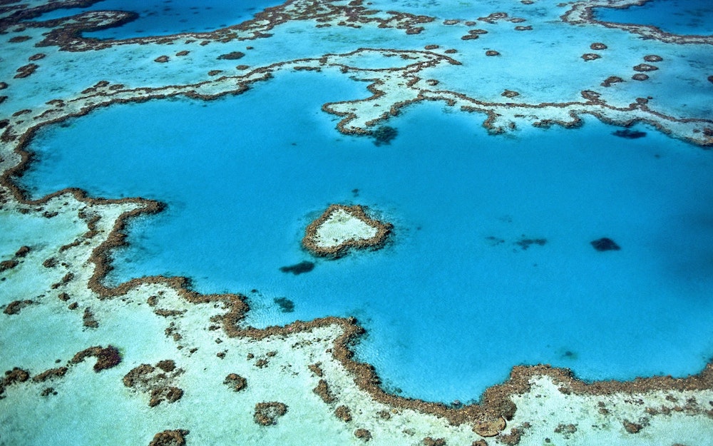 Vue aérienne de la grande barrière de corail en Australie