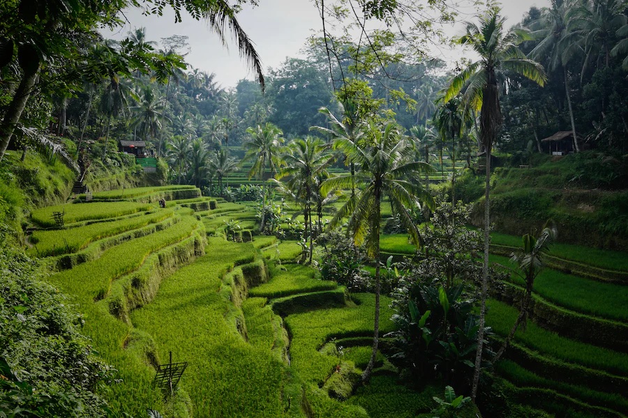 Bali, Indonésie