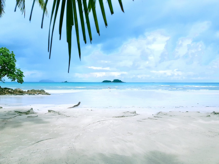 Plage des Iles du Sud en Thaïlande avec son sable blanc et ses palmiers