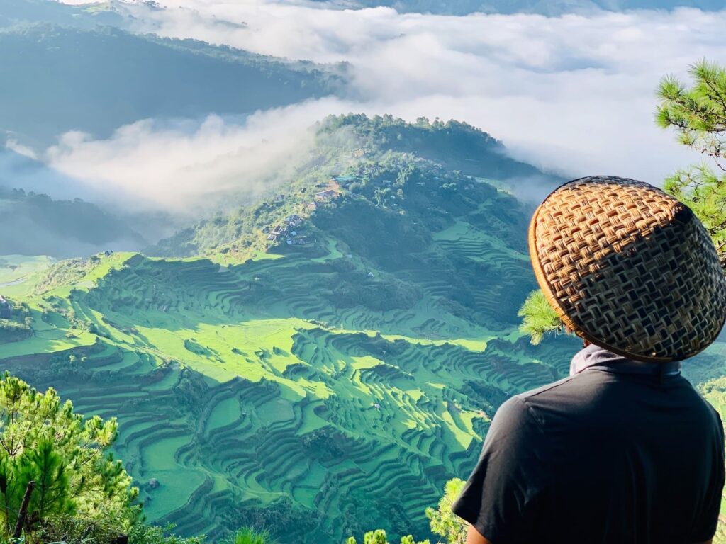 Homme de dos faisant face aux rizières en terrasses des Philippines