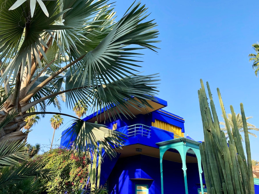 Jardin Majorelle à Marrakech avec ses murs bleu Majorelle