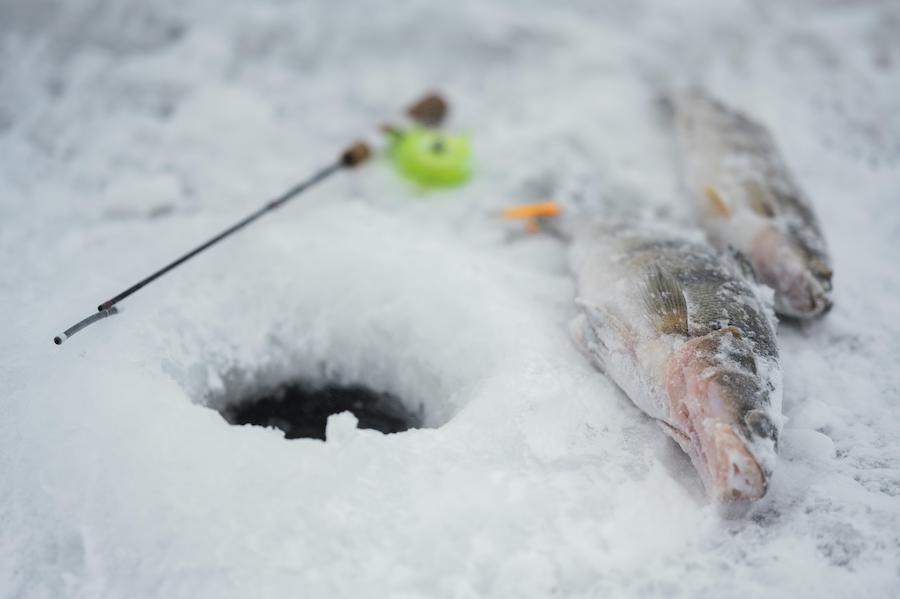 Trou pour la pêche sur glace en Laponie