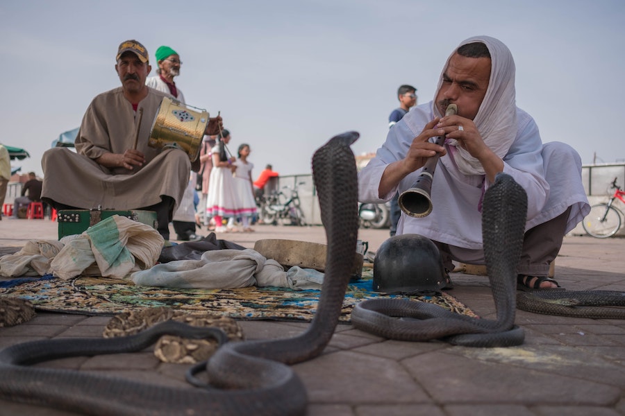 Charmeur de serpent sur la place Jemaa-el-Fna à Marrakech