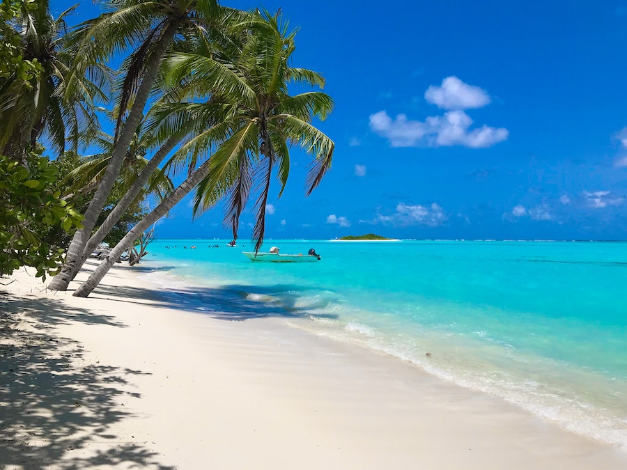 Plage tropicale pour s'évader pendant les vacances d'hiver