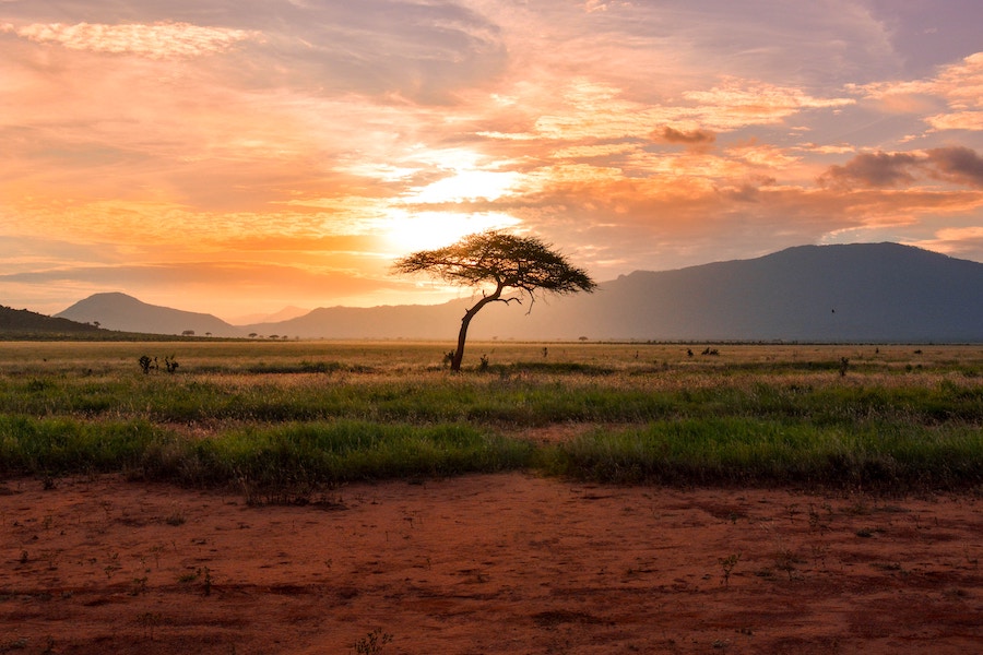 Coucher de soleil sur la savane