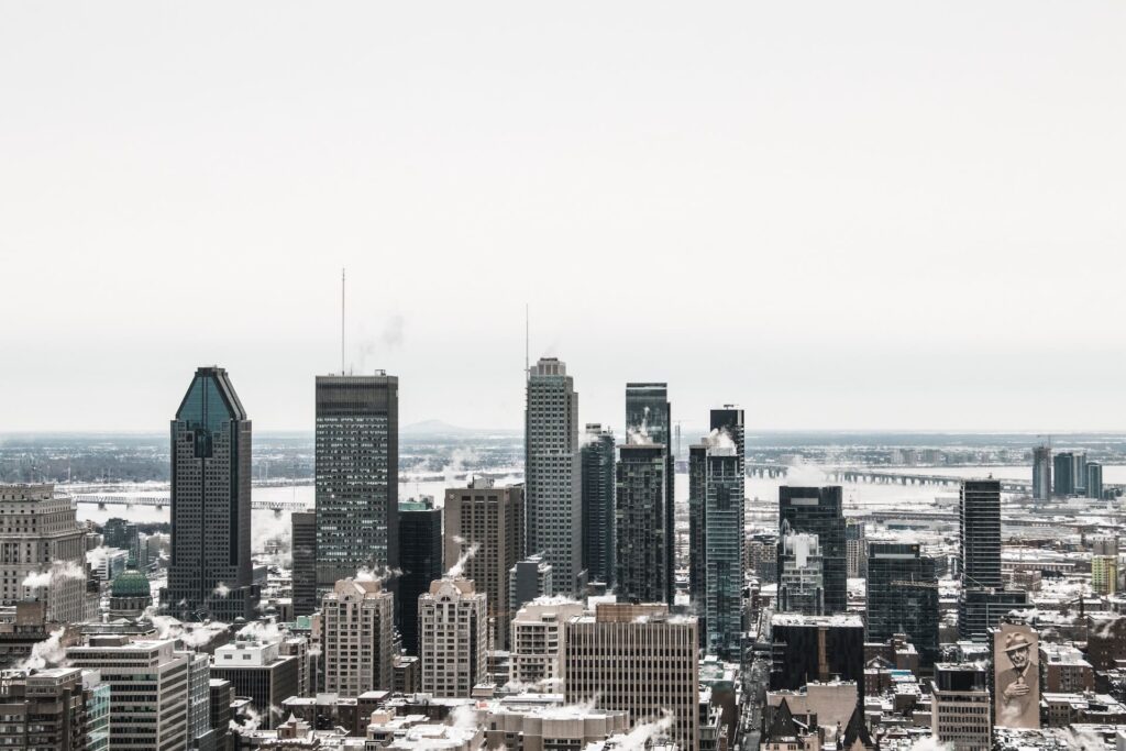 Vue sur les buildings de Montréal depuis le Mont Royal