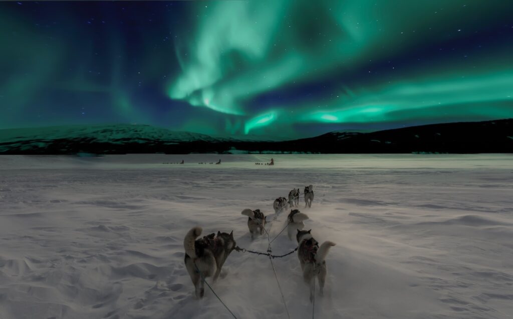 Balade en chiens de traineau de nuit pour aller voir les aurores boréales en Norvège